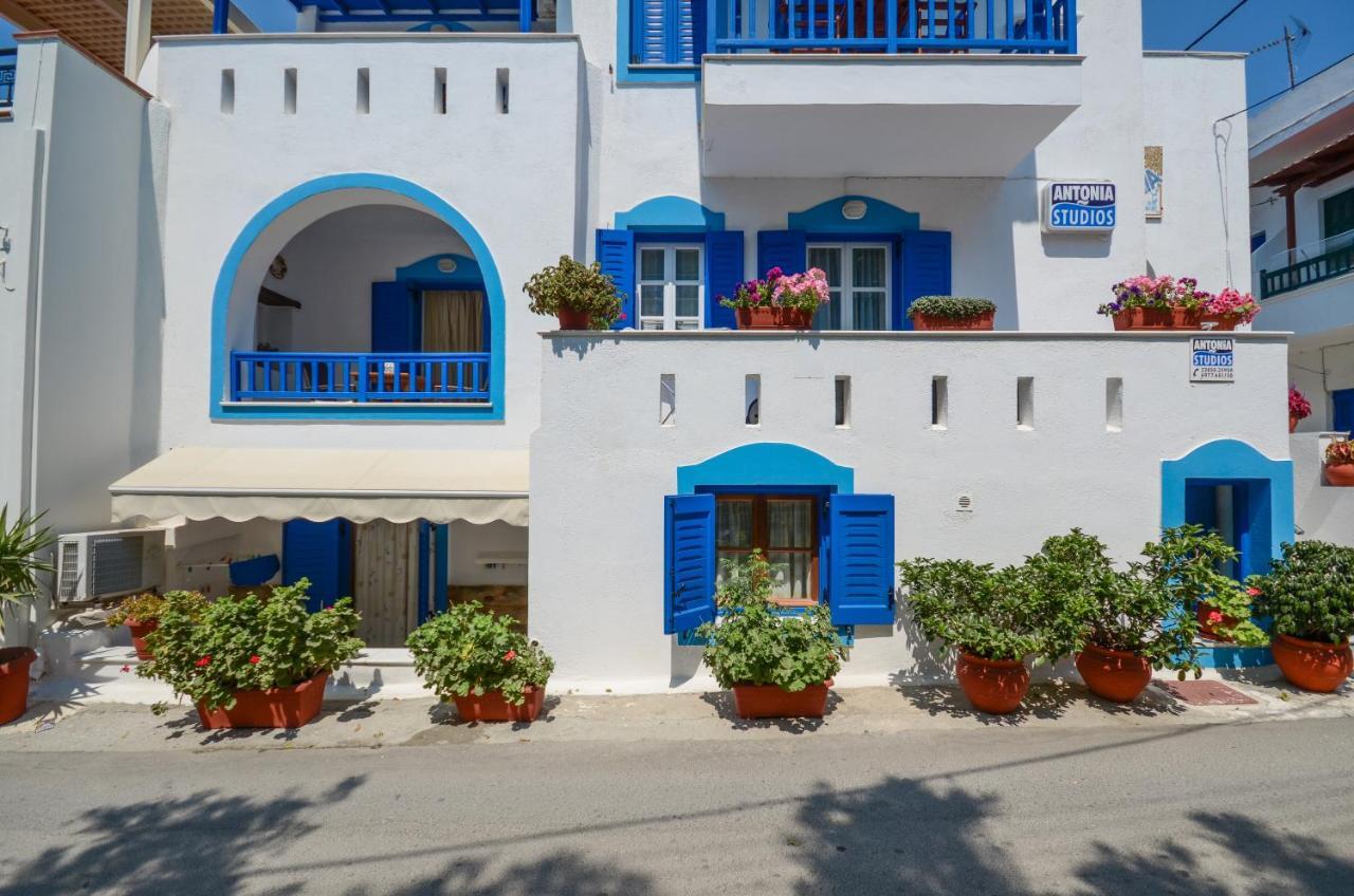 安东尼公寓 Naxos City 外观 照片